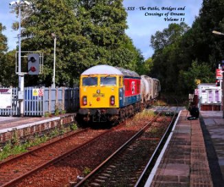 SSS - The Paths, Bridges and Crossings of Dreams Volume 11 book cover